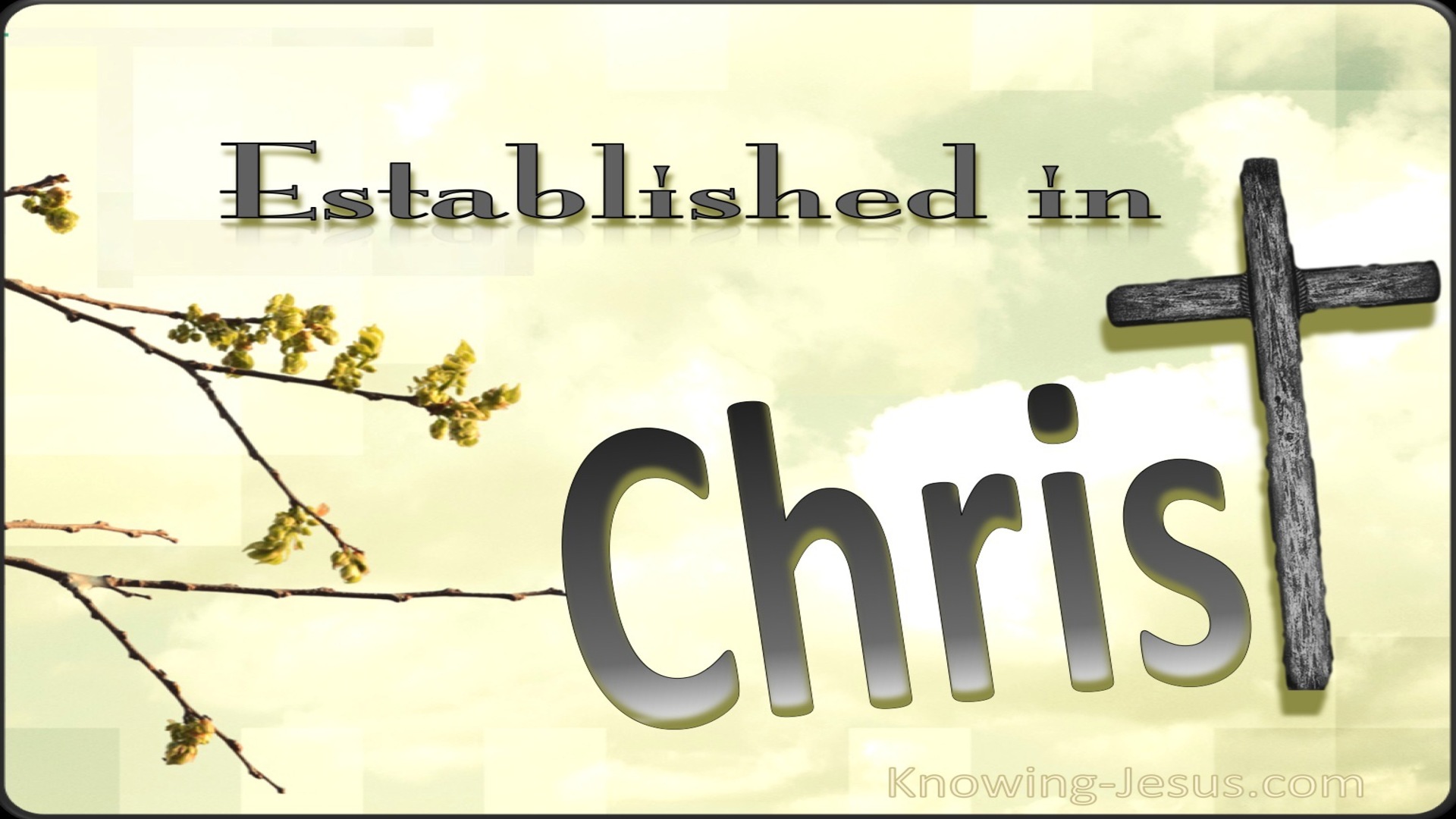 Colossians 2:7 Established In Christ (sage)